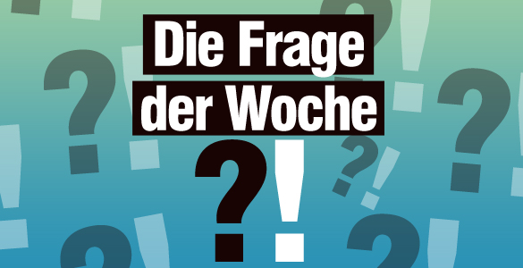 blog_FrageNews_585x300