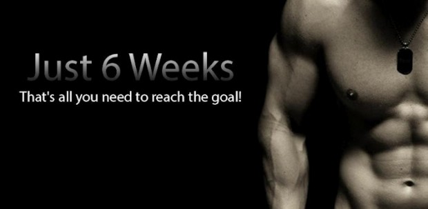 just_6_weeks_main