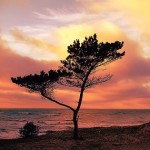 Die besten Travel-Apps (Foto: Vittis from Lithuania)