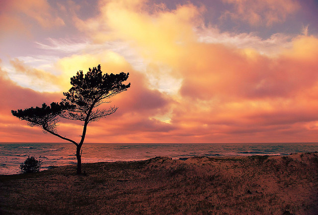 perfecttravelling_image