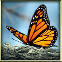 Season Zen HD